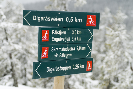 Skiltet skiløyper fra toppen av Digeråsen, ved vendestasjonen Skiltet skiløyper fra toppen av Digeråsen, ved vendestasjonen
