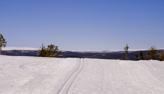 Utsikt fra skisporet - ved toppen av heistrekket hos Rena alpin og skisenter